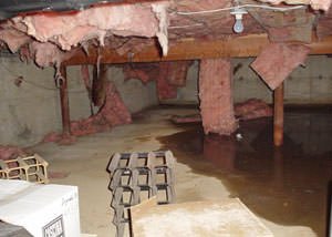 fiberglass insulation dripping off the ceiling of a crawl space in Vail.